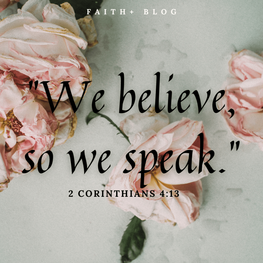 THE PROFESSION OF&nbsp;FAITH.