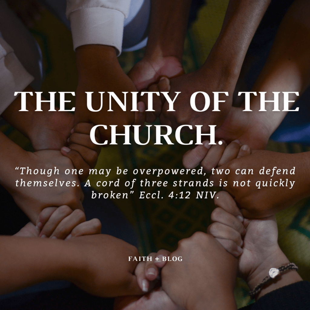 THE UNITY OF THE&nbsp;CHURCH.