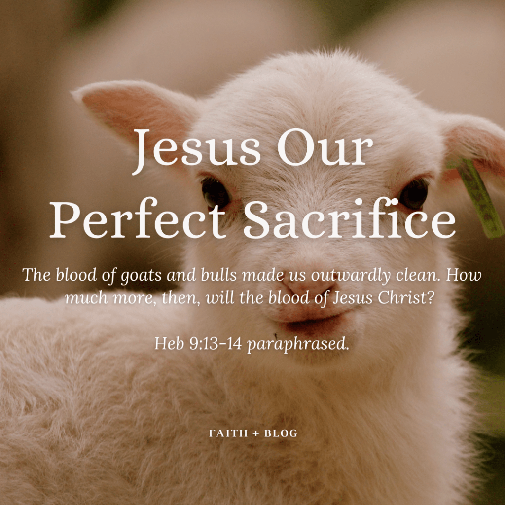 Jesus Our Perfect&nbsp;Sacrifice