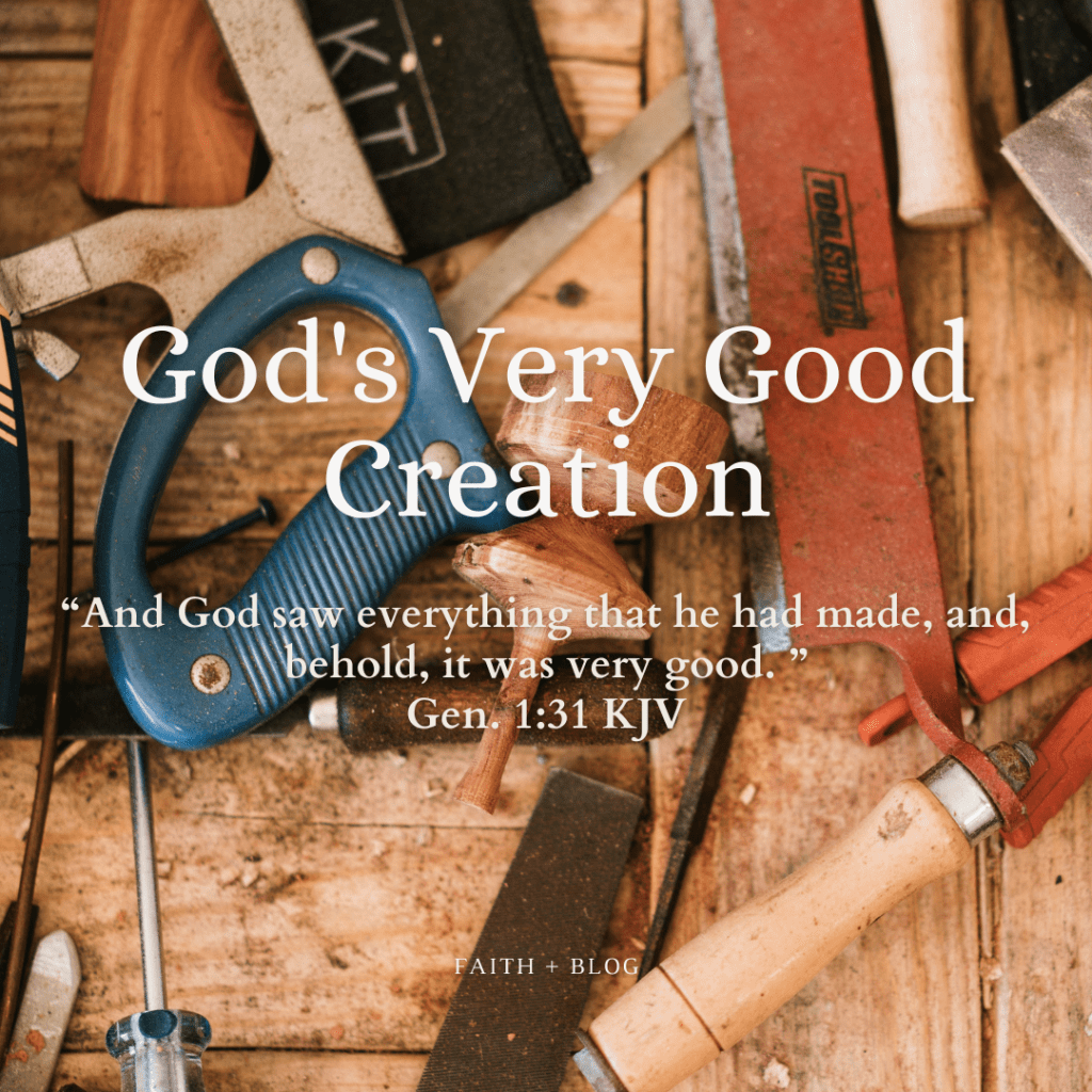 God’s Very Good Creation 