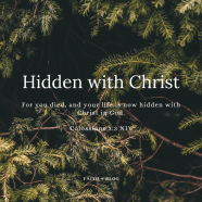 Hidden With Christ Faith blog Hidden With Christ Faith blog