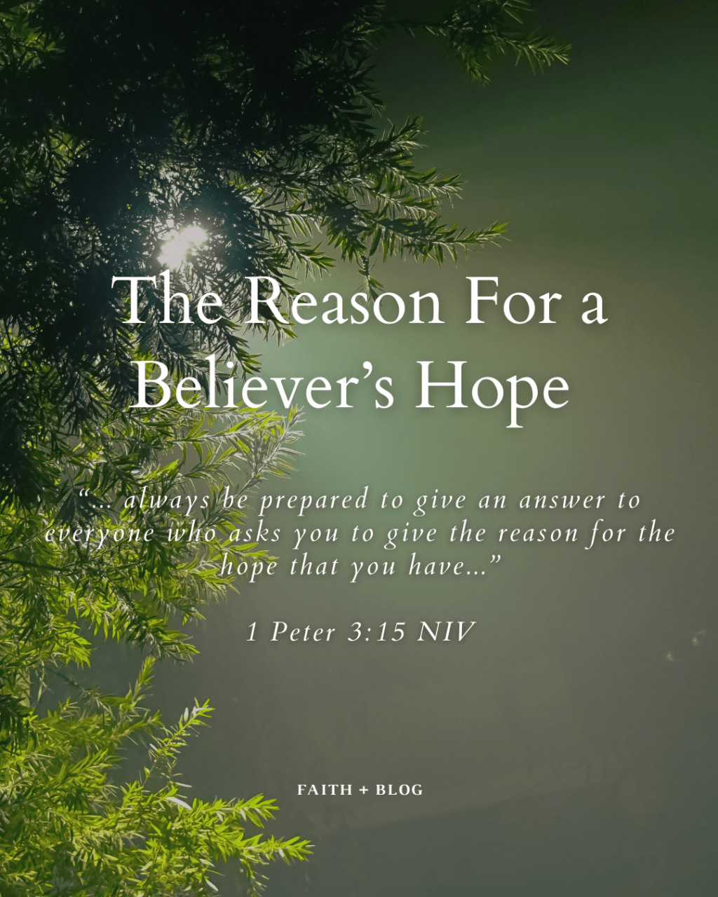 The Reason For a Believer’s Hope 
