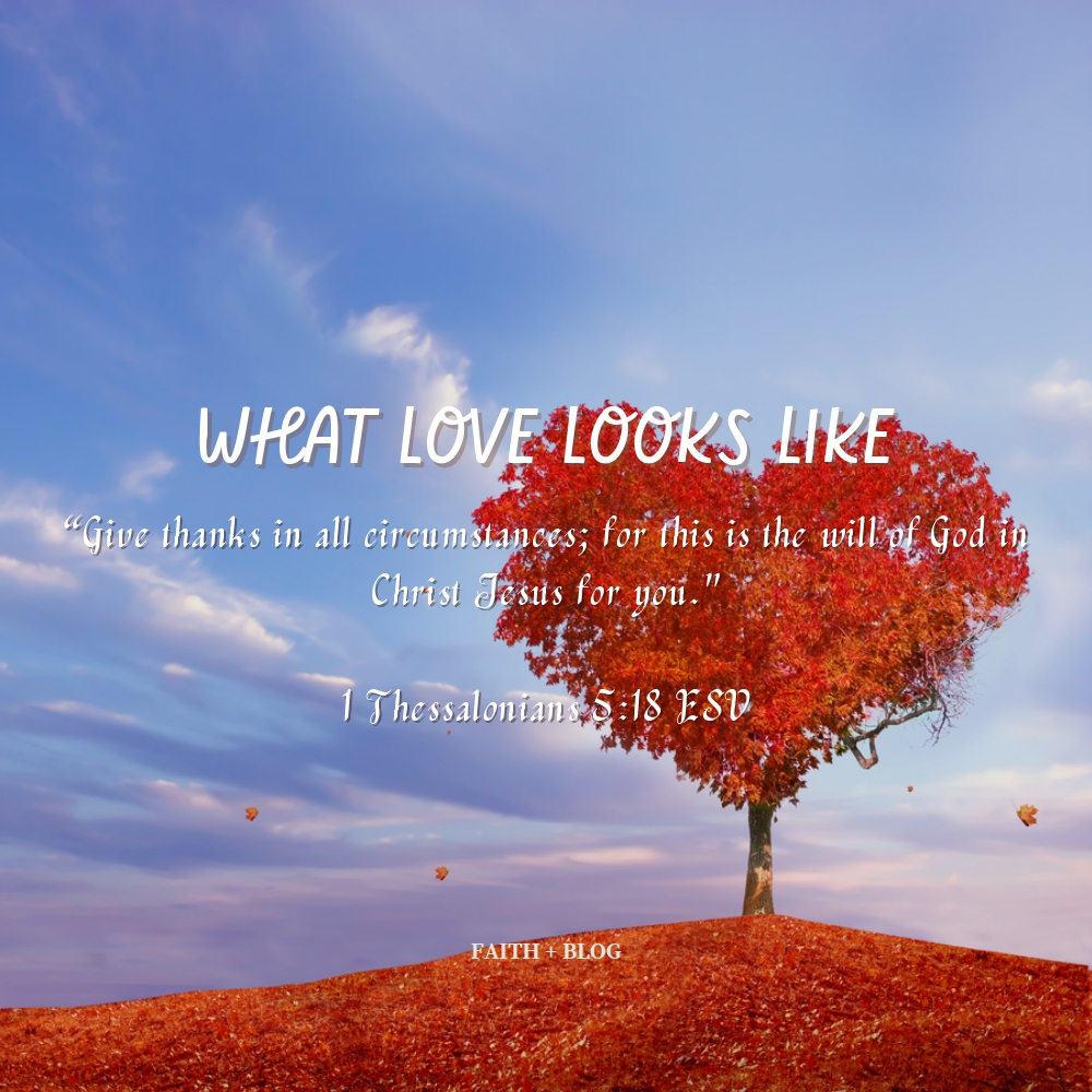 What Love Looks&nbsp;Like