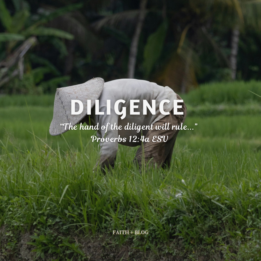 Diligence 